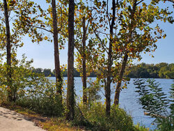 autumn trees next to river