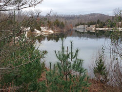 evergreen trees and lake in winter