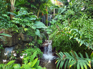 waterfall surrounded by tropical greenery