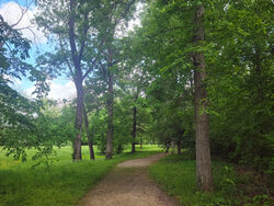paved trail in shady park