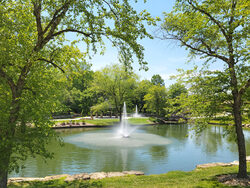 trees around lake with fountain