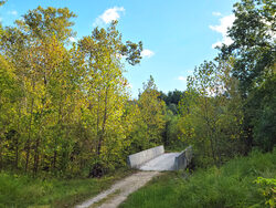wooded trail with bridge